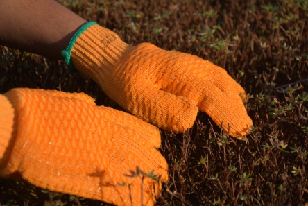 criss cross fit and grip glove