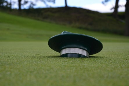 golf hole cup sizer setter