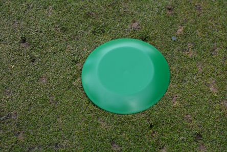 green low profile plastic tee marker