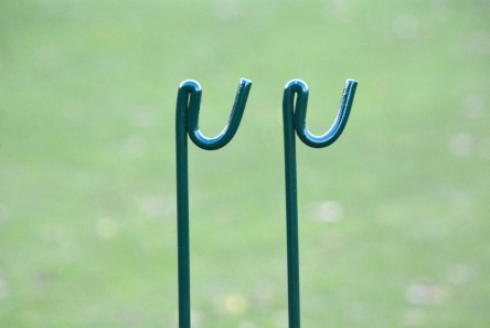 green metal rope stakes