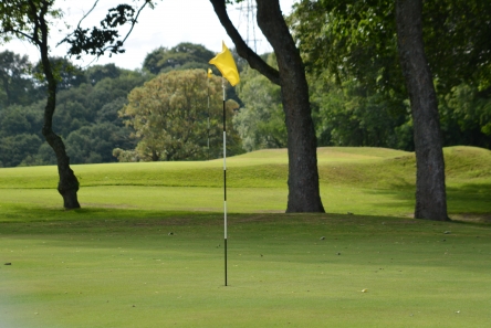 standard flag pole for golf course