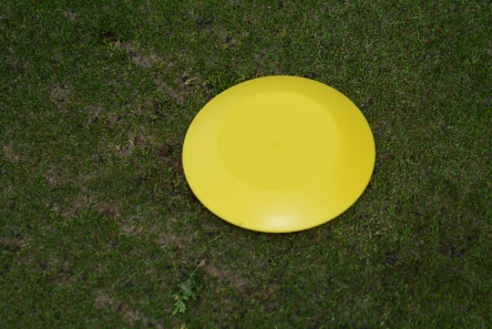 yellow low profile plastic tee marker