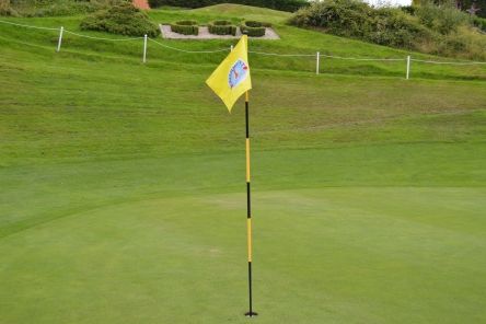 yellow tubelock embroidered golf flag